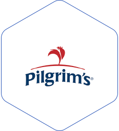 pilgrims