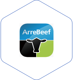 arrebeef