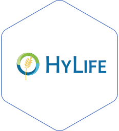 HYLIFE