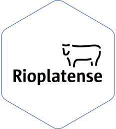 RIOPLATENSE